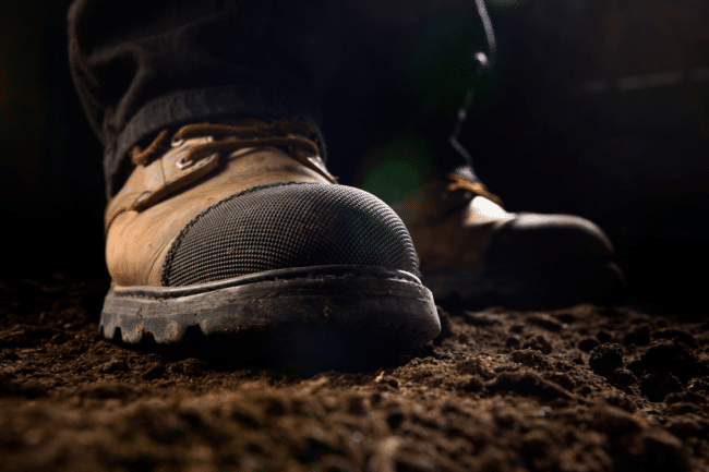 Wildfire Cleanup